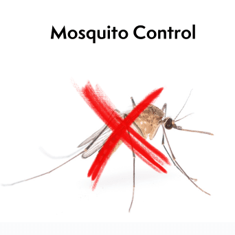 Mosquito Control 