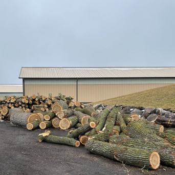 Logs in front of building